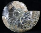 Cut Ammonite Fossil (Half) - Agatized #37138-1